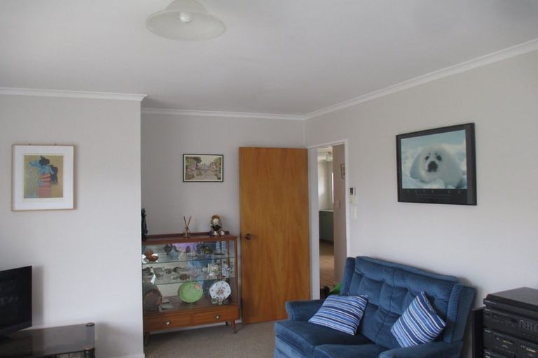 Photo of property in 17 Douglas Street, Levin, 5510