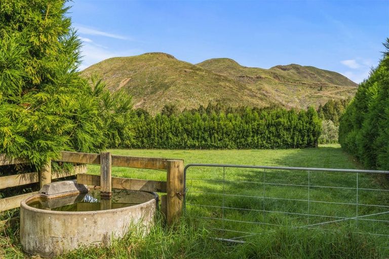 Photo of property in 710 Sommerville Road, Tangowahine, Dargaville, 0372