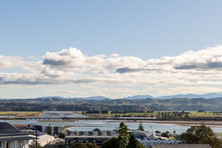 Photo of property in 21 Denholm Road, Hospital Hill, Napier, 4110