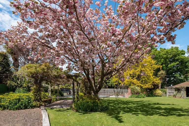 Photo of property in 23 Ward Street, Springlands, Blenheim, 7201