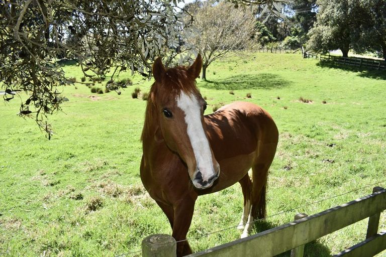 Photo of property in 151 Te Hapua Road, Te Horo, Otaki, 5581