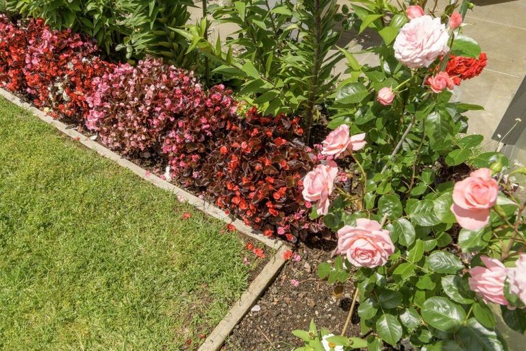 Photo of property in 31 Condor Drive, Pyes Pa, Tauranga, 3112