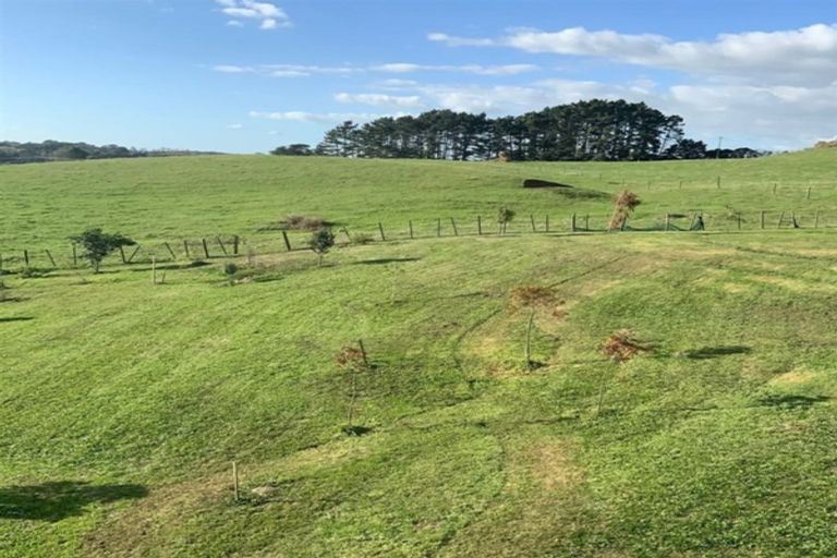 Photo of property in 78c Hyland Place, Waiuku, 2681