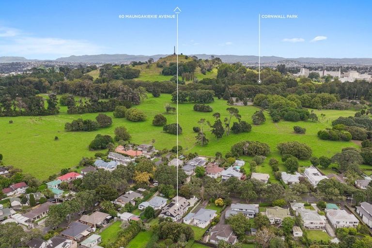 Photo of property in 60 Maungakiekie Avenue, Greenlane, Auckland, 1051