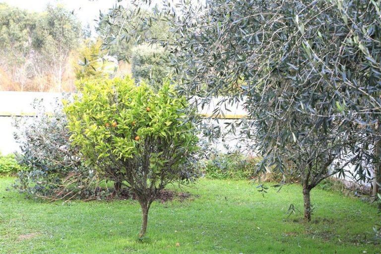 Photo of property in 40 Potts Road, Koputaroa, Levin, 5571