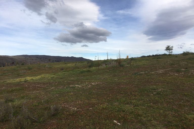 Photo of property in 21 Meyer Street, Alexandra, 9320