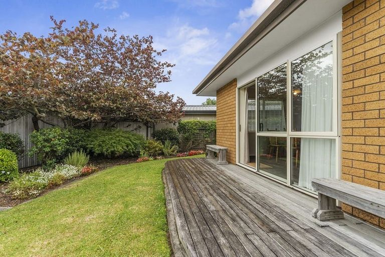 Photo of property in 48b Emmett Street, Greerton, Tauranga, 3112