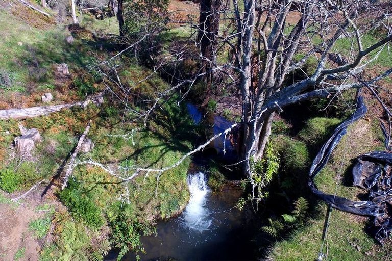 Photo of property in 183 Te Tahi Road, Puketotara, Te Awamutu, 3876