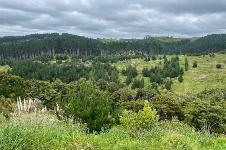 Photo of property in 609a Bickerstaffe Road, Maungaturoto, 0587