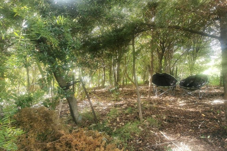 Photo of property in 16b Springfield Avenue, Ngarimu Bay, Thames, 3575