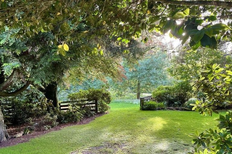 Photo of property in 488 Tapuwae Road, Maniaiti / Benneydale, Te Kuiti, 3987