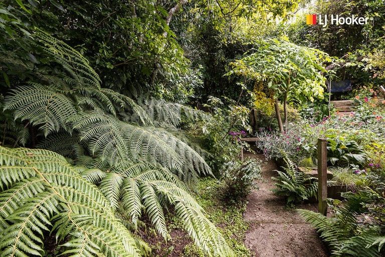 Photo of property in 5 Broomlea Street, Wakari, Dunedin, 9010