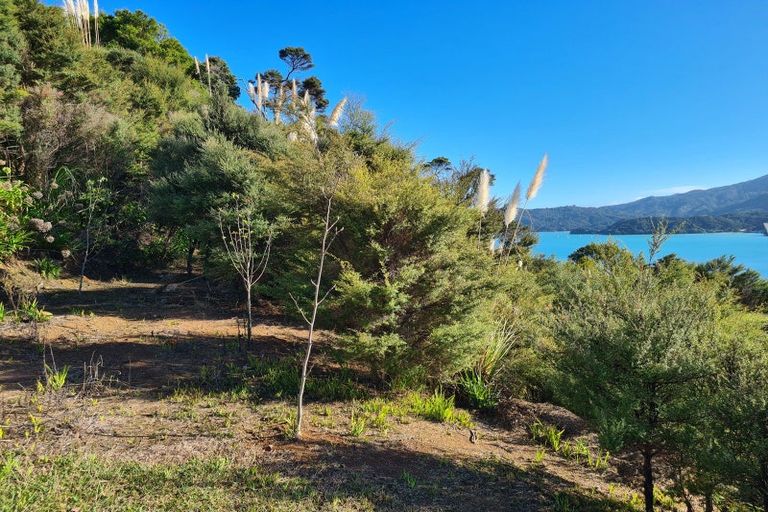 Photo of property in 60 Rangituia Lane, Wyuna Bay, Coromandel, 3581