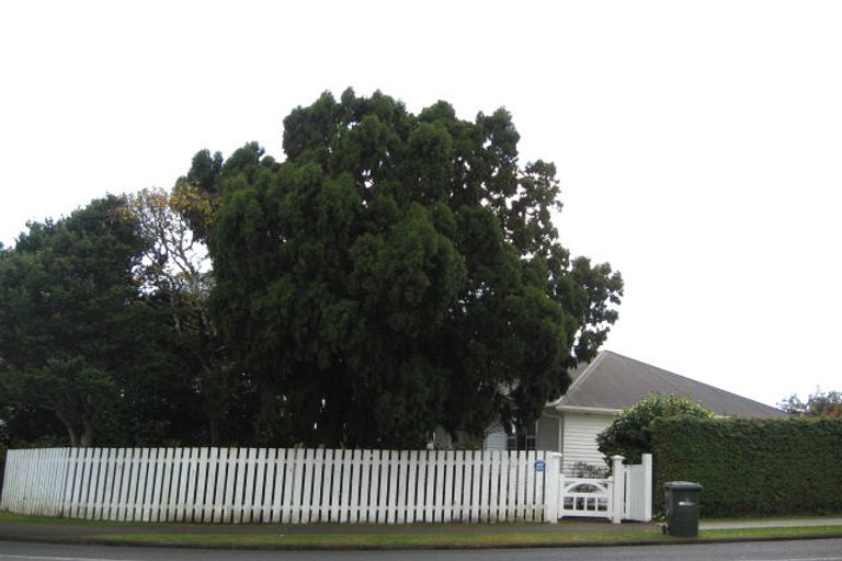 Photo of property in 30 Dorset Avenue, Westown, New Plymouth, 4310