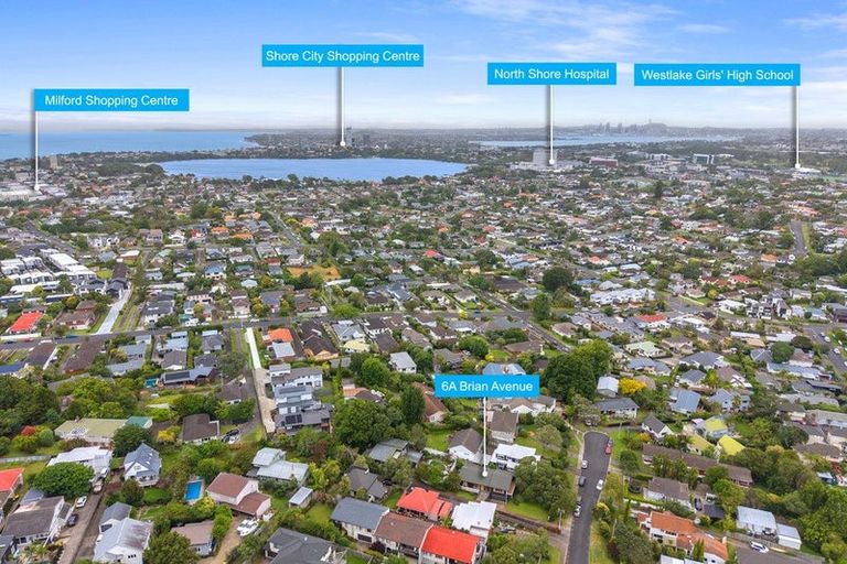 Photo of property in 6a Brian Avenue, Forrest Hill, Auckland, 0620