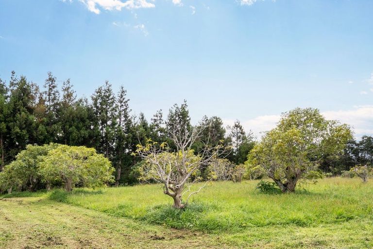 Photo of property in 331 Rea Road, Tahawai, Katikati, 3178