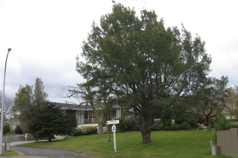 Photo of property in 19 Regent Street, Springfield, Rotorua, 3015