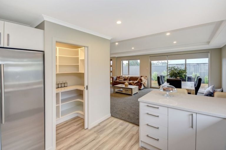 Photo of property in 4b Henderson Street, Mornington, Dunedin, 9011