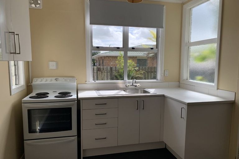 Photo of property in 138 Tiro Tiro Road, Levin, 5510