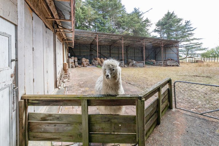 Photo of property in 1118 Tram Road, Swannanoa, Kaiapoi, 7692