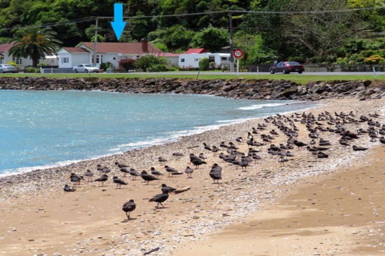 Photo of property in 530 Tararu Sh25 Road, Thames, 3500