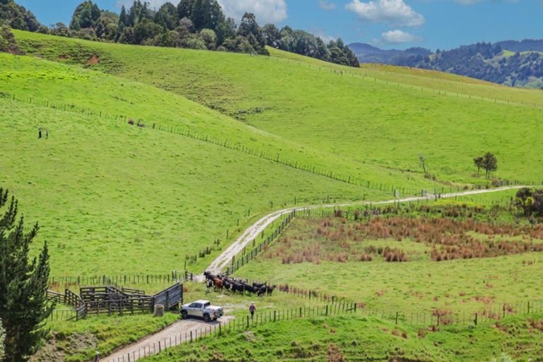 Photo of property in 76 Wyllie Road, Warkworth, 0981