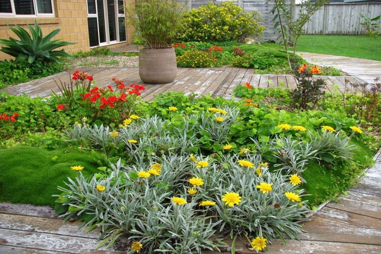 Photo of property in 6 Magnolia Drive, Matamata, 3400