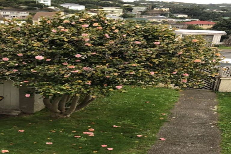 Photo of property in 543 Broadway, Miramar, Wellington, 6022