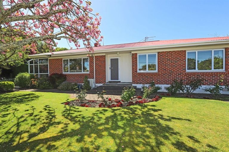 Photo of property in 32 Campbell Street, Havelock North, 4130