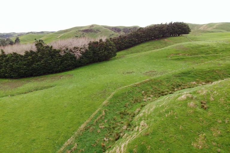 Photo of property in 130 Bowen Road, Eketahuna, 4994