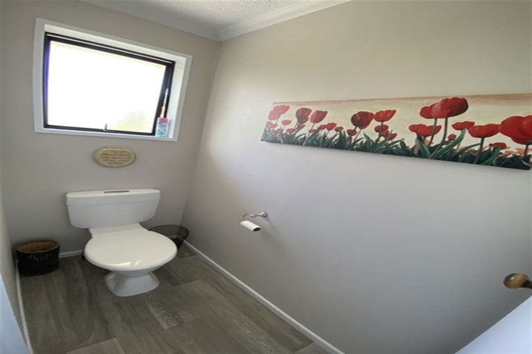 Photo of property in 13 Flatman Crescent, Geraldine, 7930