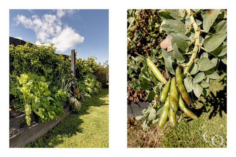 Photo of property in 24c Gobray Crescent, Mount Maunganui, 3116