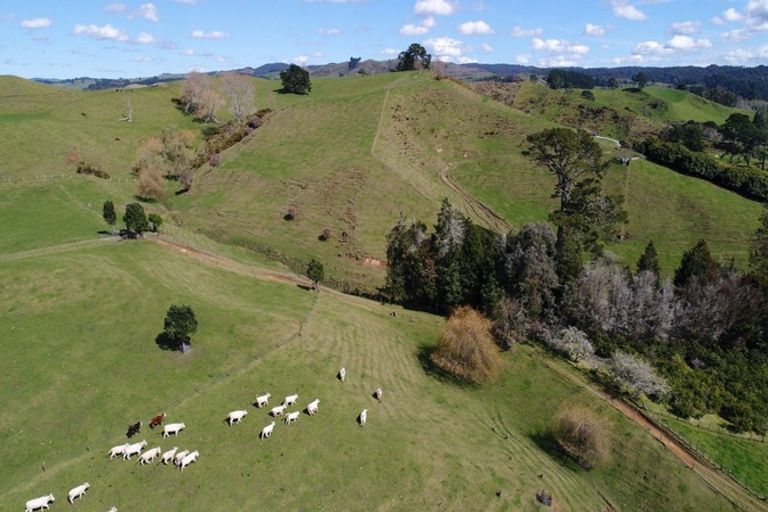 Photo of property in 559 Crawford Road, Minden, Tauranga, 3171