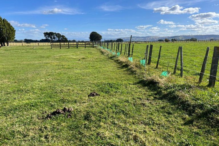 Photo of property in 141 Valley Road, Woodville, 4998