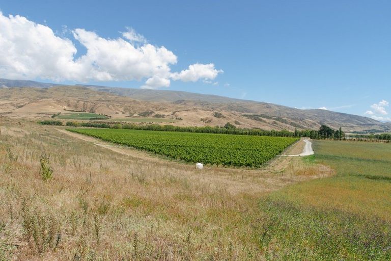 Photo of property in 49 Awahokomo Road, Kurow, 9435