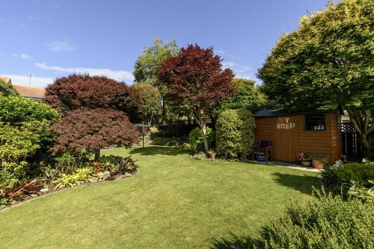 Photo of property in 6 Rochester Place, Bethlehem, Tauranga, 3110