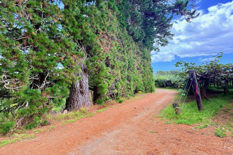 Photo of property in 29 I'anson Road, Minden, 3179