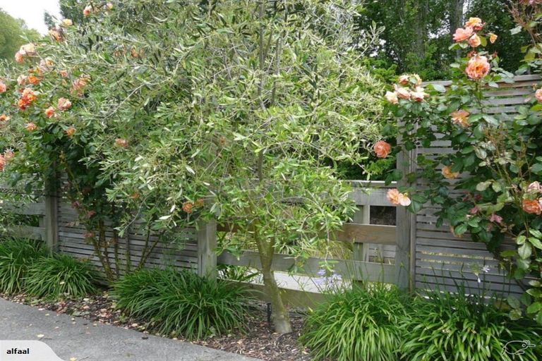 Photo of property in 6 Seclusion Lane, Parklands, Christchurch, 8083