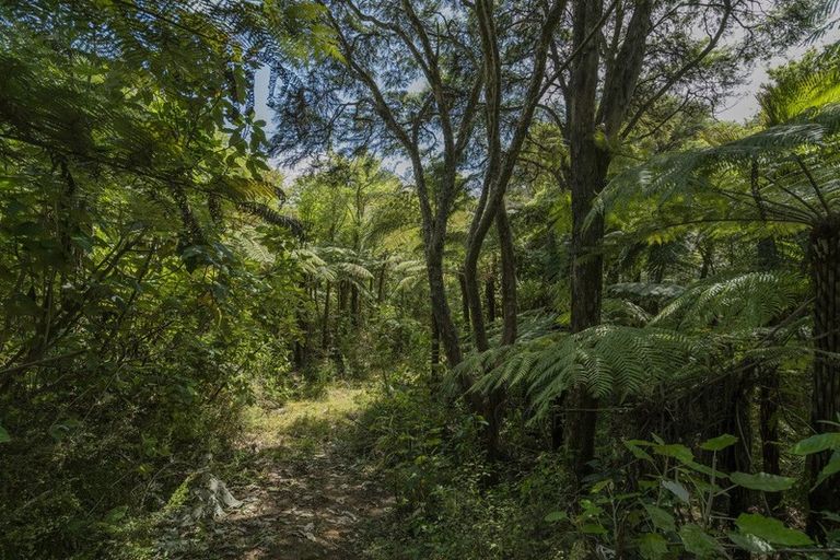 Photo of property in 185 Kaimarama Road, Kaimarama, Whitianga, 3591