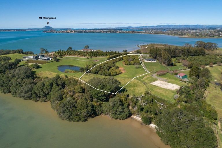 Photo of property in 333b Pahoia Road, Whakamarama, Tauranga, 3172