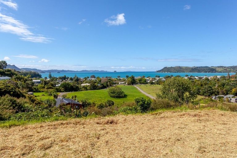 Photo of property in 925a Purangi Road, Cooks Beach, Whitianga, 3591