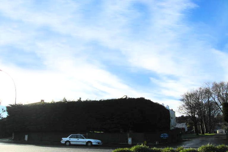 Photo of property in 353 Dee Street, Avenal, Invercargill, 9810