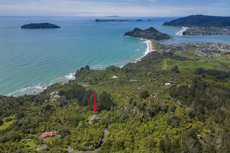 Photo of property in 131 Pumpkin Hill Road, Pumpkin Hill, Whitianga, 3591