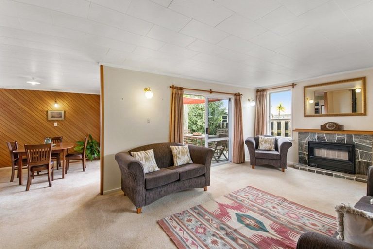 Photo of property in 175 Tiro Tiro Road, Levin, 5510