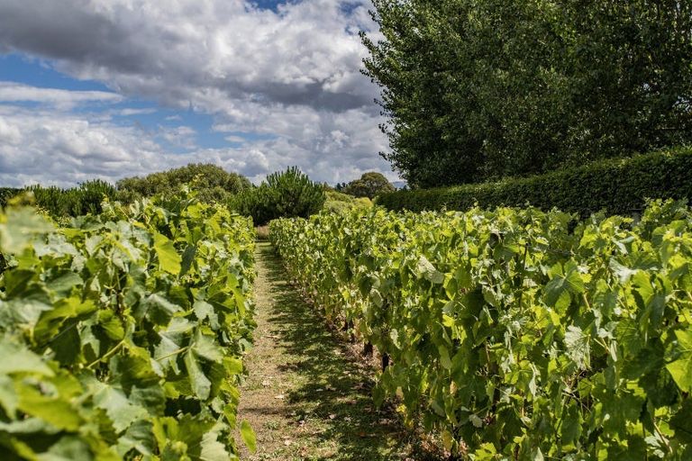 Photo of property in 41 Vineyard Lane, Waipara, Amberley, 7483