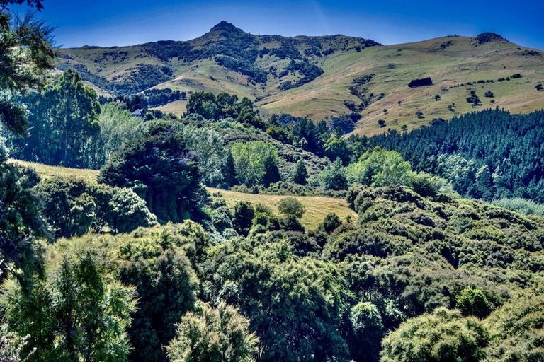 Photo of property in 190 Okains Bay Road, Robinsons Bay, 7581