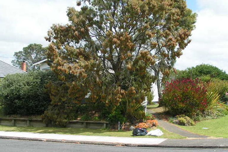 Photo of property in 15 Northumberland Avenue, Hauraki, Auckland, 0622