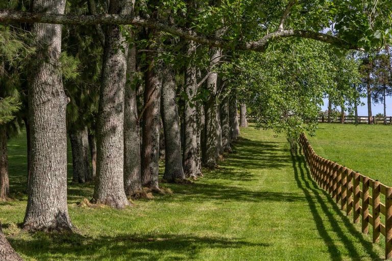 Photo of property in 713 Ararimu Valley Road, Helensville, 0882