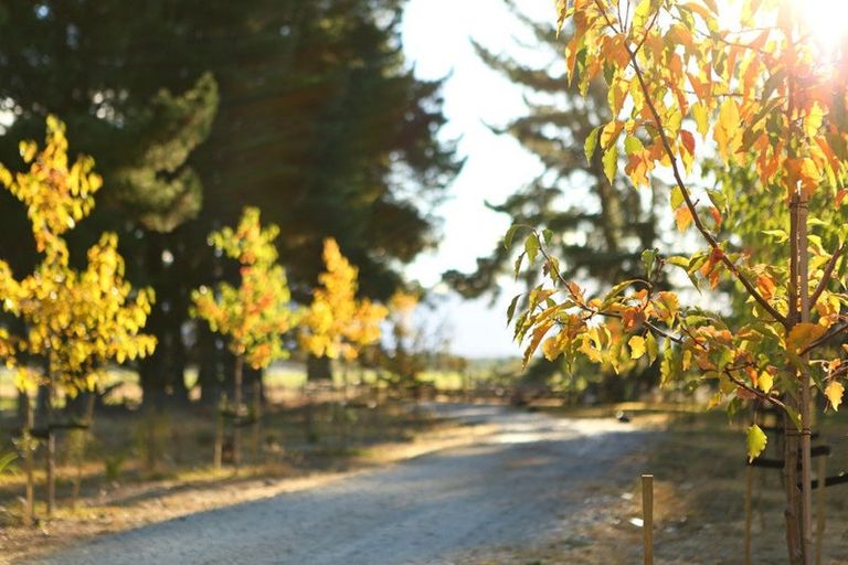 Photo of property in 65 Butterfield Road, Hawea Flat, 9382