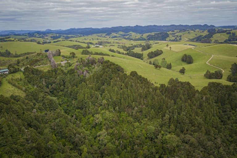 Photo of property in 98 Kiwi Bush Lane, Ngunguru, Whangarei, 0173